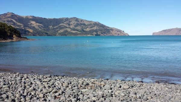 Wainui Shore Dive 26 April 2015 Sarah Blog