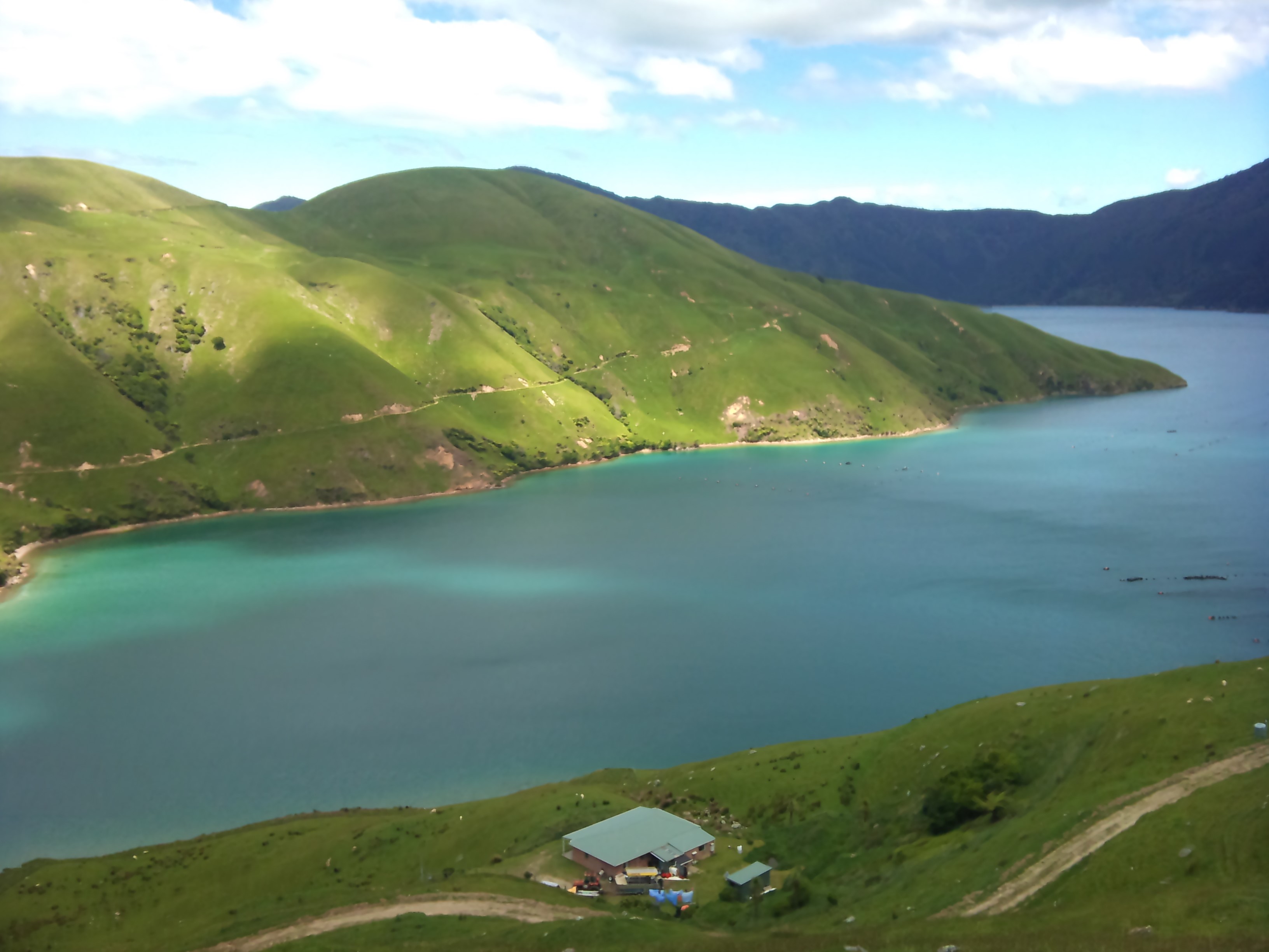 Diving New Zealand