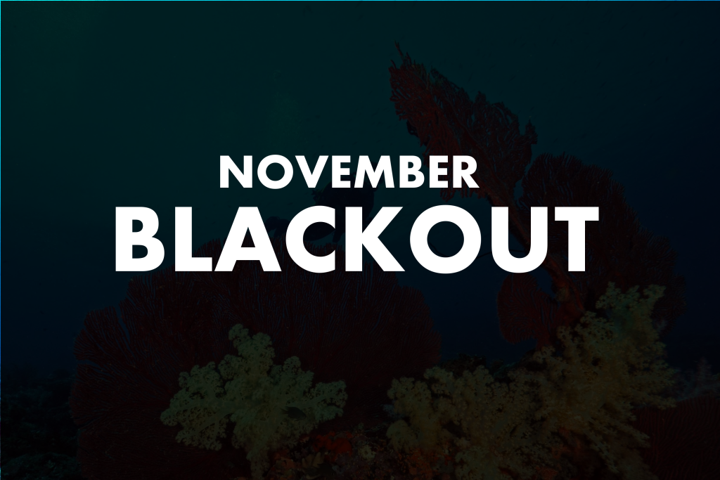 blackoutnovember