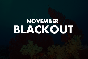 blackoutnovember