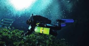 New Zealand Diving Enriched Air Nitrox PADi