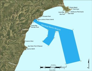hikurangi marine reserve