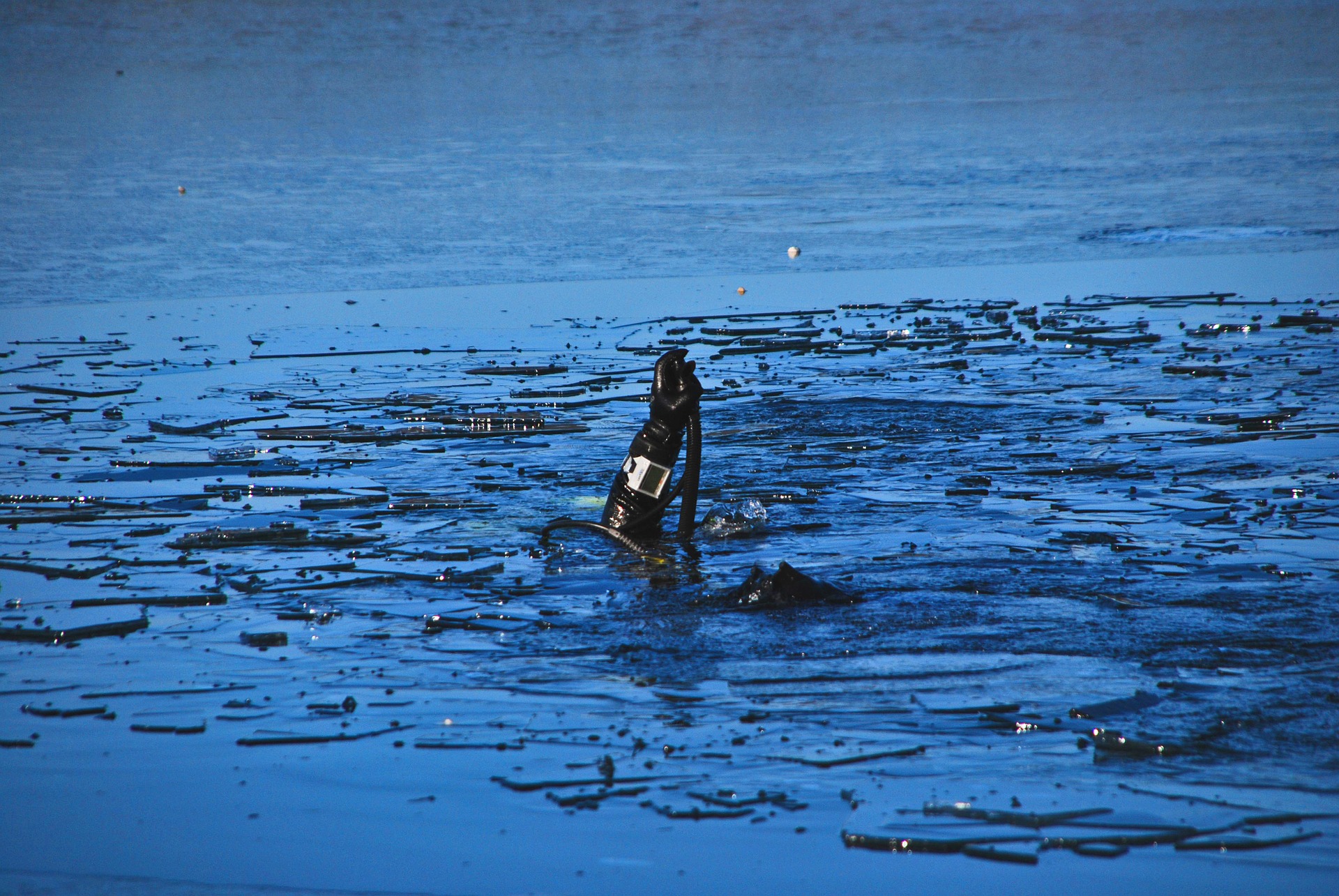 ice dive