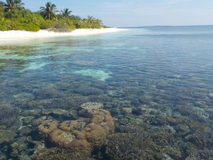 Coral Reef and Island