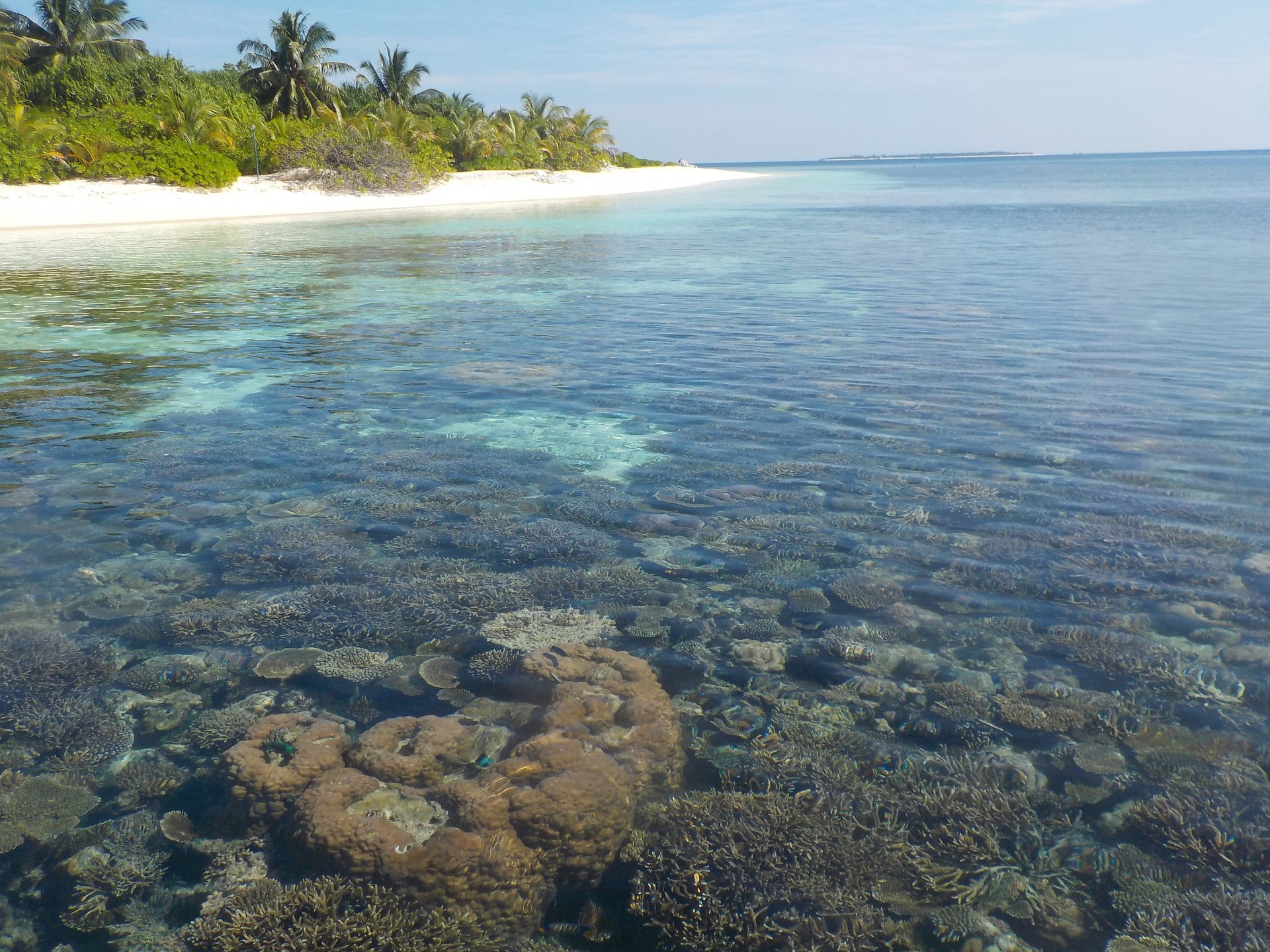 Coral Reef and Island