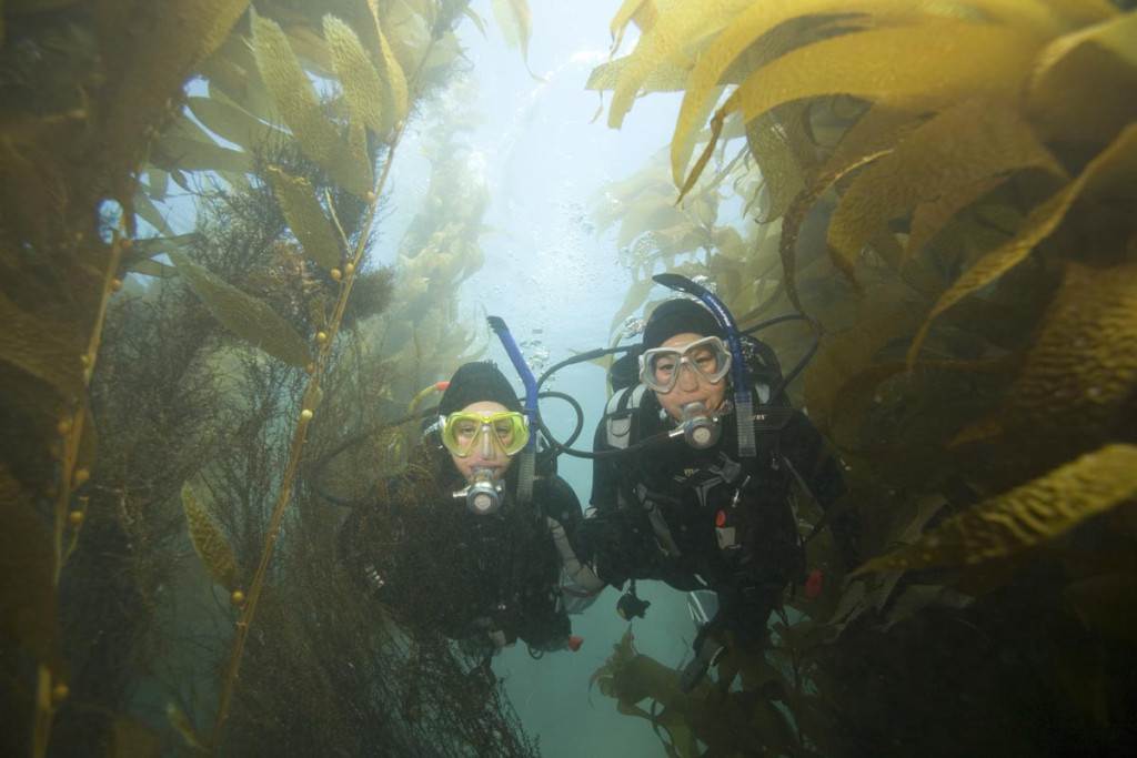 PADI University Program Channel Islands Shoot March 24-29, 2007