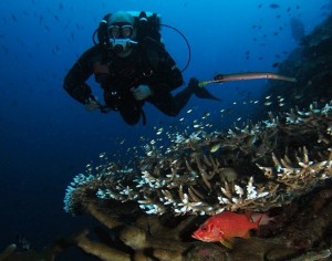 Richard Solomon Islands