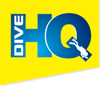 Dive Ski World Logo