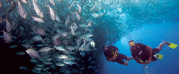 Course<br>Dates & Times