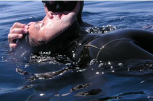 Pool sessions for breath holding