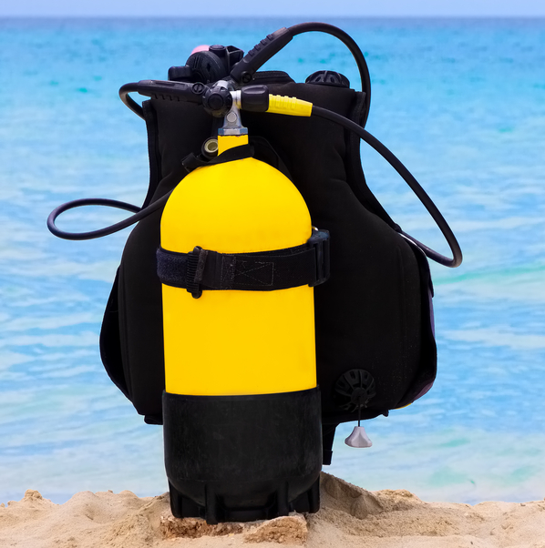 Dive HQ Christchurch, Scuba Diving and Dive Course Experts, Start your