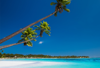 Internation Dive Trips